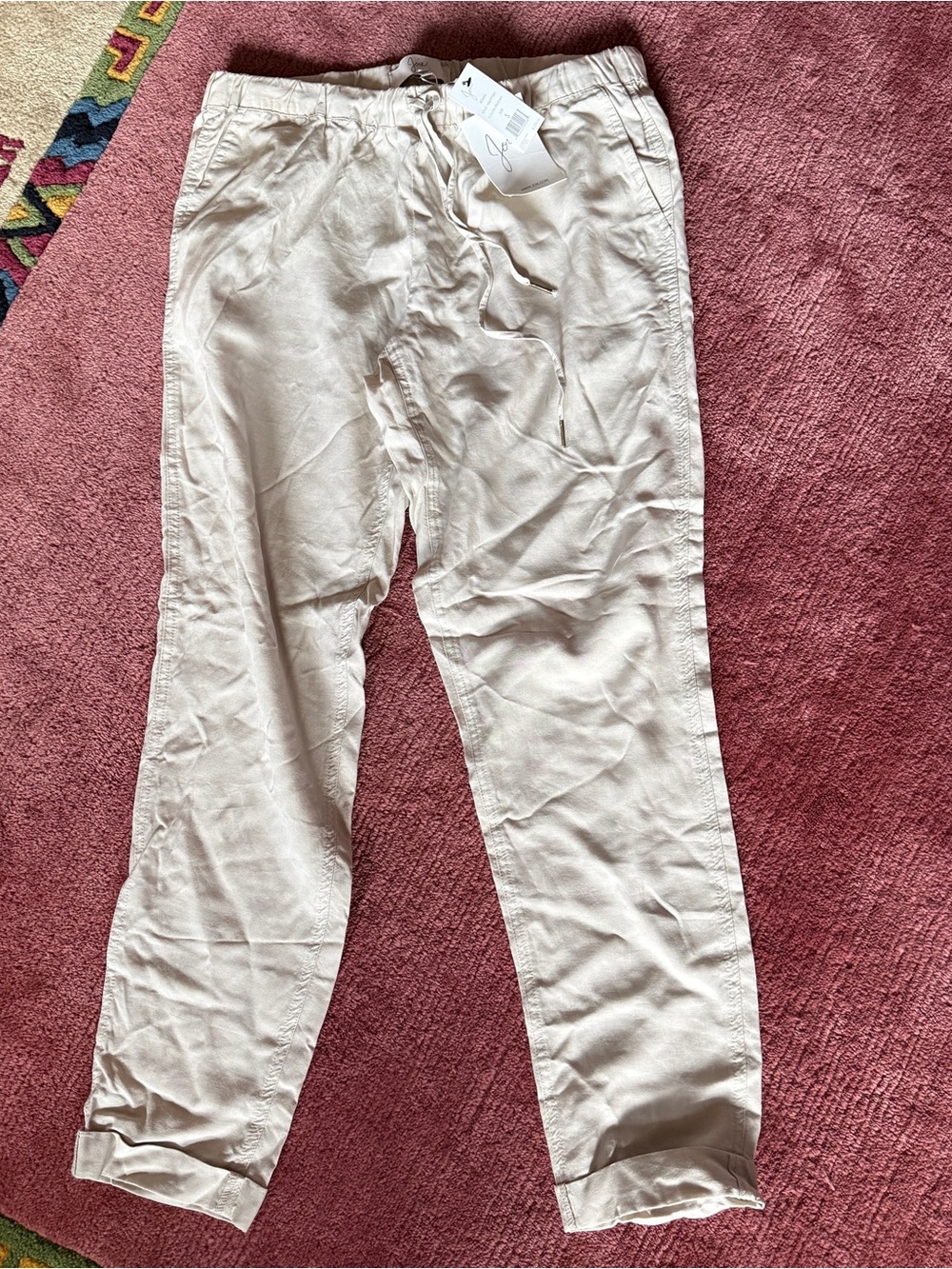 Joie Edana Pants NWT $228 Size Small Pelican Color with Pockets
